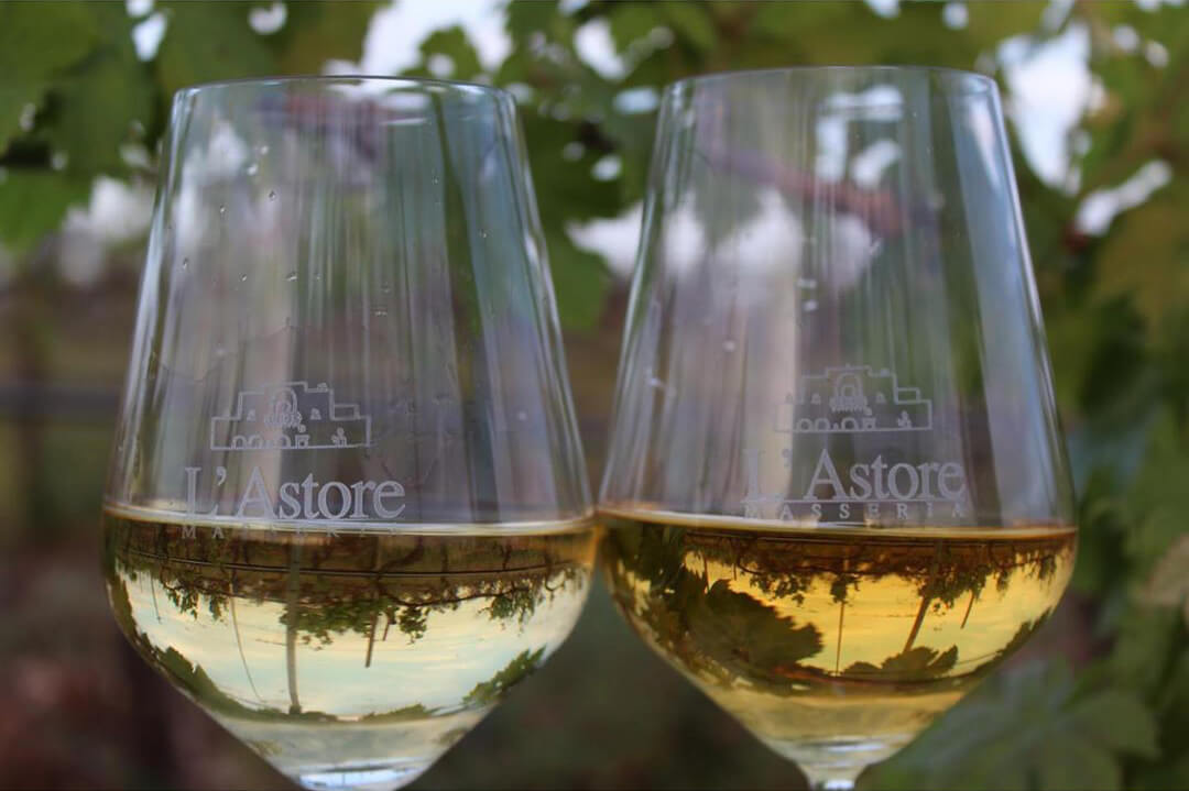 L’ASTORE-MASSERIA-VINI L'Astore Masseria vini