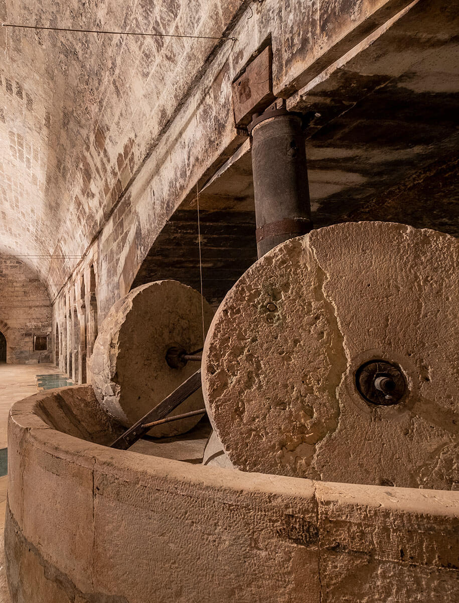 l’astore-masseria-produzione-olio L'Astore Masseria produzione olio